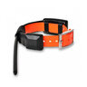 Obojok pre ďalšieho psa dog gps x25b - obojok_pre_dalsieho_psa_dog_gps_x25b_1