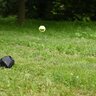 Podávač loptičiek d-ball up set - podavac_lopticiek_d_ball_up_10