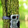 Fotopasca spypoint link-micro 4g - IMG_2354