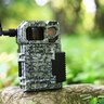 Fotopasca spypoint link-micro 4g - IMG_2367