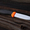 Nôž morakniv companion hi-vis orange - Companion (S) Hi-Vis Orange_pe05_11824,12090_bbc81dc8700ebd19000289195d13b064