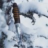 Poľovnícky nôž helle morgon - limitovaná edícia - polovnicky_noz_helle_morgon (2)