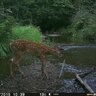 20152810151034-FotopascaSPYPOINTFORCE-1210