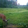 20150708150843-FotopascaSPYPOINTIRON-108