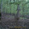 20150708140854-FotopascaSPYPOINTIRON-97