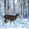 20172205160505-fotoaggressor