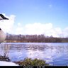 20162606100647-FotopascaCuddebackC2X-ChangeIR850nm124811