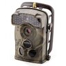 20152204180404-FotopascaLTLAcorn5310MMW