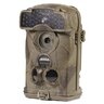 20152204190455-FotopasceLTLAcorn6310MC