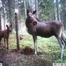 20182610151047-w.php