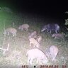20182206090617-IMAG0293