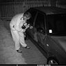 20141310131000-FotopascaSPROMISES128940nm9