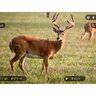20182102130210-lasser