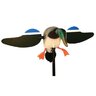 Balabán MOJO Mallard Drake s diaľkovým ovládaním