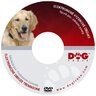 dogtrace_501_1