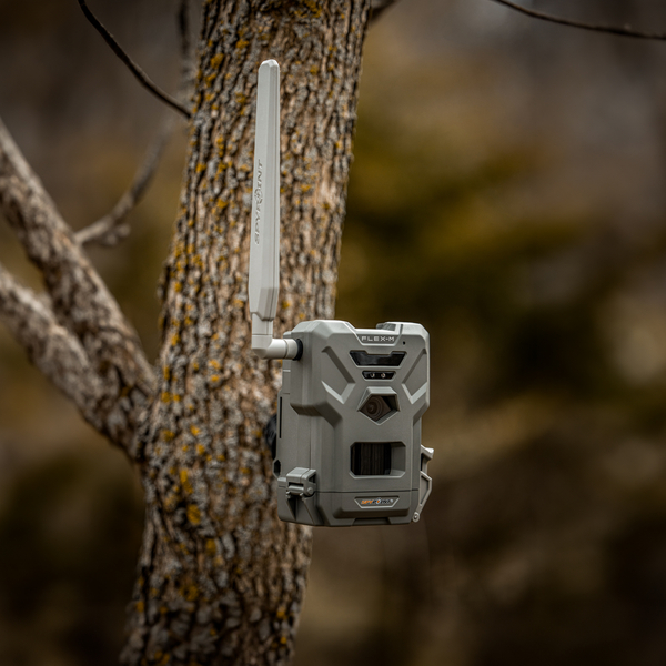 Fotopułapka SPYPOINT FLEX-M 28 Mpx + 2 KARTY SIM ZA DARMO 10