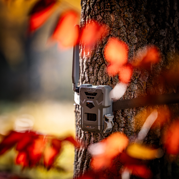 Fotopułapka SPYPOINT FLEX-M 28 Mpx + 2 KARTY SIM ZA DARMO 9