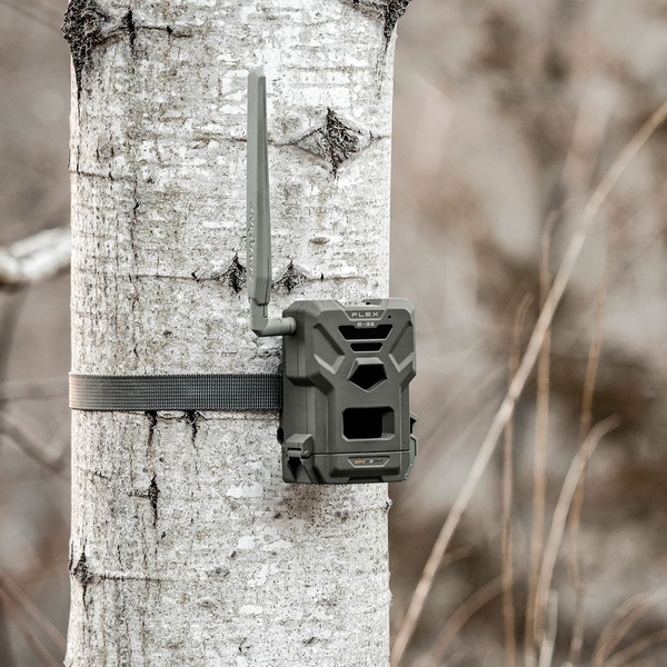 Fotopułapka SPYPOINT FLEX E-36, 36 Mpx + 2 KARTY SIM ZA DARMO 18