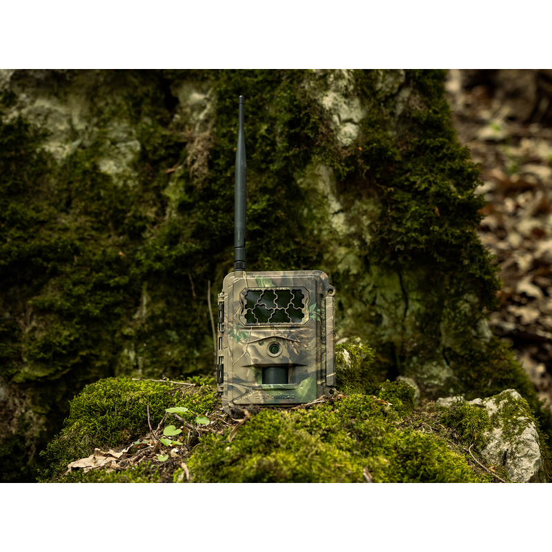 Fotopułapka TETRAO Spromise S328 30Mpx 940nm MMS/4G  7