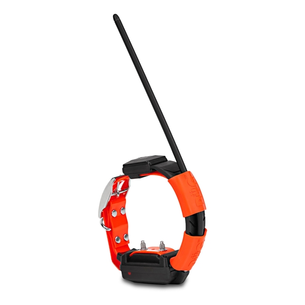 Obroża dla kolejnego psa DOG GPS X25T
