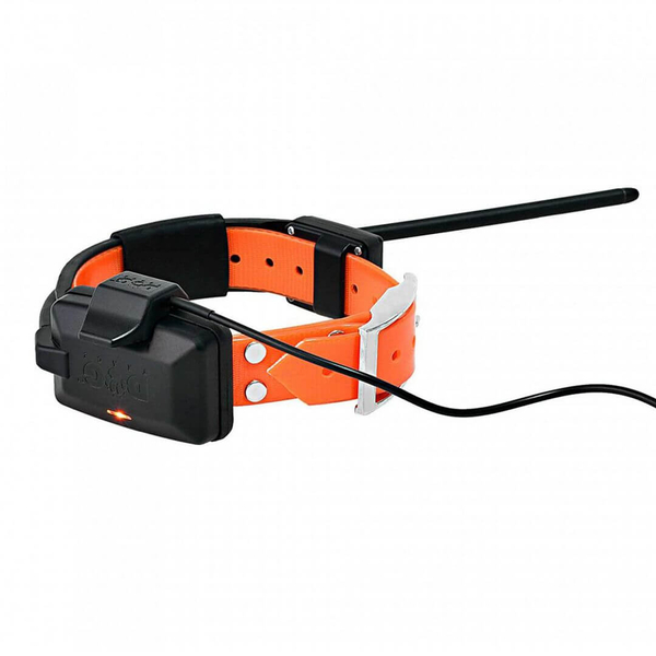 Obroża dla kolejnego psa DOG GPS X25T 1