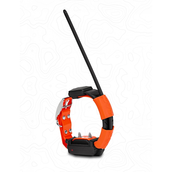 Obroża dla kolejnego psa DOG GPS X30T
